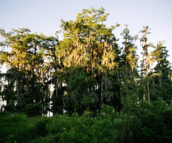Lake Martin - Photo by Paul Kieu