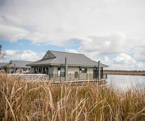 Bayou Segnette State Park - Photo by Maggie Heller