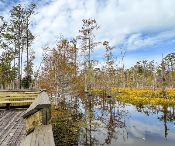 Sam Houston Jones State Park
