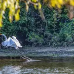 North Toledo Bend State Park