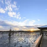 Black Bayou National Wildlife Refuge