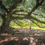 Audubon Park