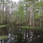North Lake Nature Center