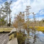 Sam Houston Jones State Park